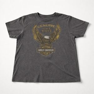 Harley-Davidson Gray Graphic T-Shirt